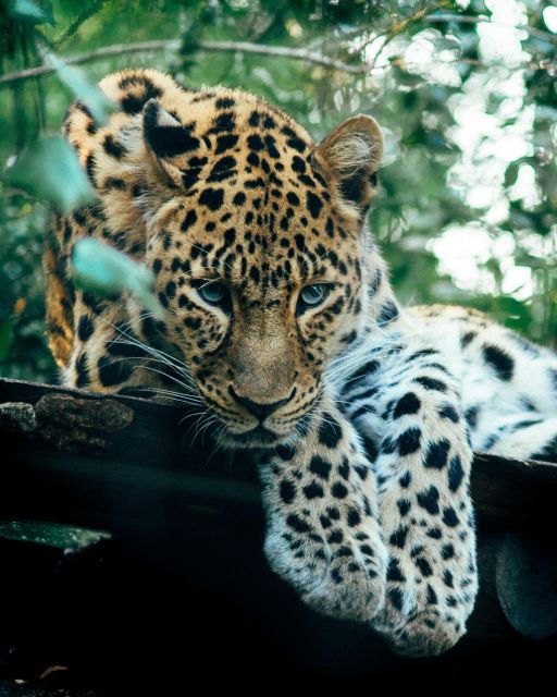 explore-the-magic-of-sri-lanka-in-7days-4-star-hotels-incl