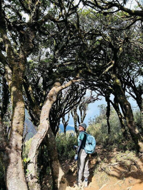 exploring-ky-quan-san-a-trekkers-paradise