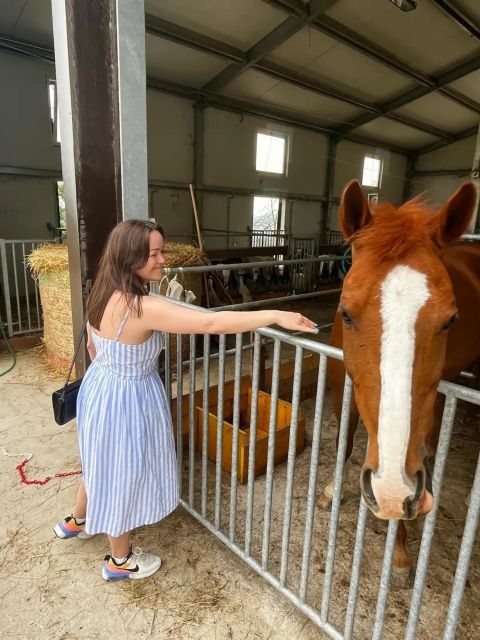 farm-stay-experience-dozza-private-day-tour-from-bologna