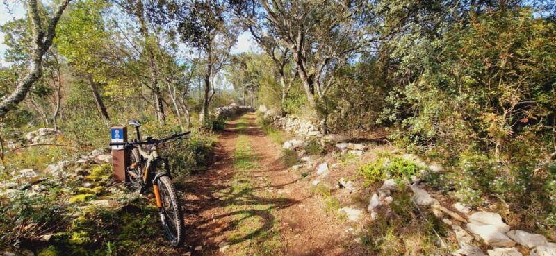 fatima-caves-tradition-e-bike-tour