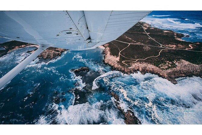Fly to Rottnest Island by Plane - Who Should Book This Tour?