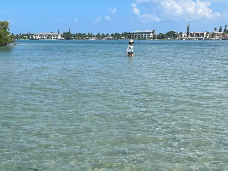 fort-pierce-4-hr-mangroves-dolphin-watch-sandbar-in-fl