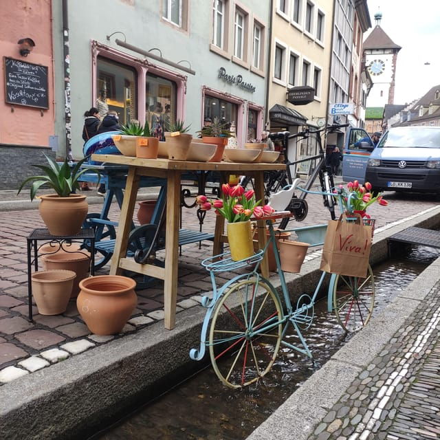 freiburg-im-breisgau-old-town-private-walking-tour-italian