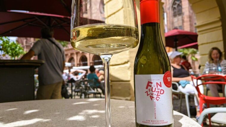 freiburg-old-town-highlights-self-guided-tour