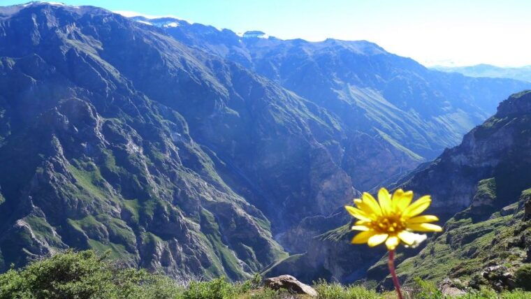 from-arequipa-2-day-colca-canyon-trek-tour