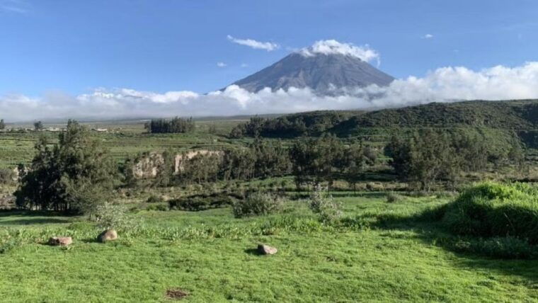 from-arequipa-excursion-to-salinas-lagoon