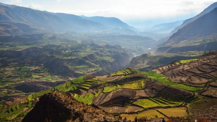 from-arequipa-excursion-to-the-colca-canyon-ending-in-puno-3