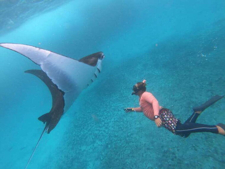 from-bali-half-day-snorkeling-3-spots-to-lembongan-penida