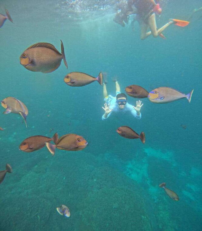 from-bali-nusa-penida-full-day-tour-and-snorkeling-3-spots