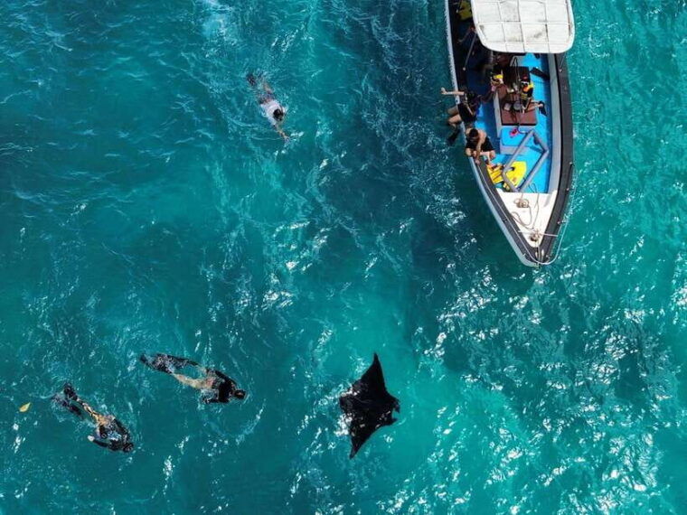 from-bali-snorkeling-penida-lembongan-and-mangrove-tour