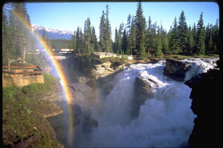 from-banff-lake-louise-1-way-sightseeing-tour-to-jasper