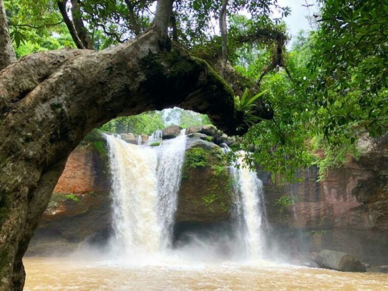 from-bangkok-khao-yai-national-park-jungle-trek-with-lunch