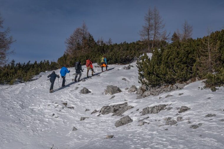 from-bled-day-trip-to-julian-alps-hiking-with-local-guide