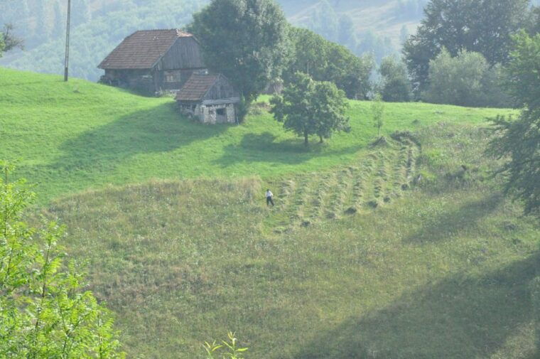 from-brasov-romanian-mountain-villages-day-tour