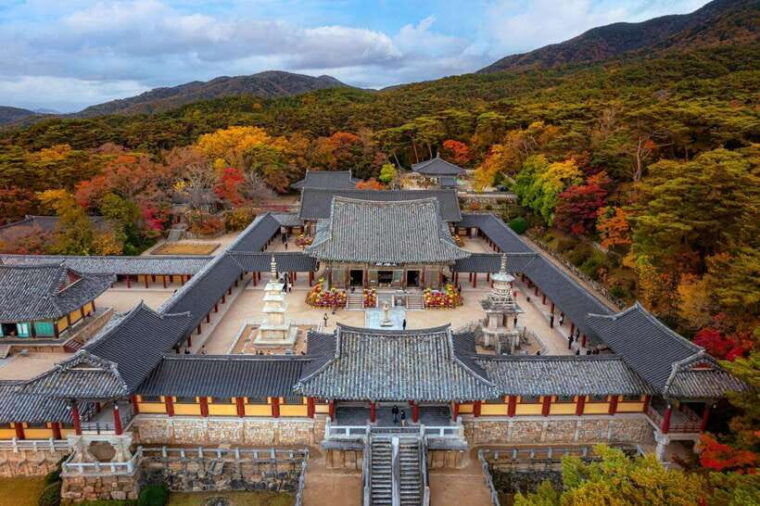 from-busan-gyeongju-historical-day-tour-with-sky-capsule