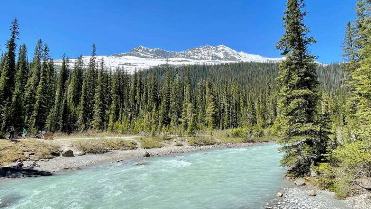 from-calgary-banff-yoho-national-parks-private-day-tour