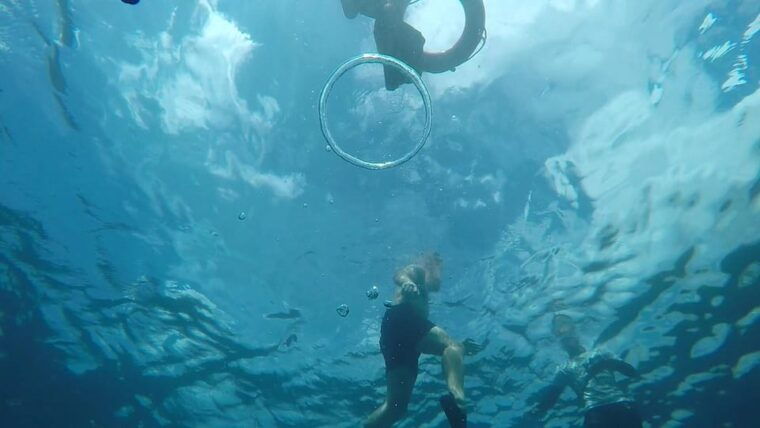 from-cebu-city-moalboal-pescador-snorkeling-tour-lunch