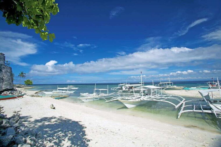 from-cebupamilacan-virgin-island-dolphin-watching-lunch