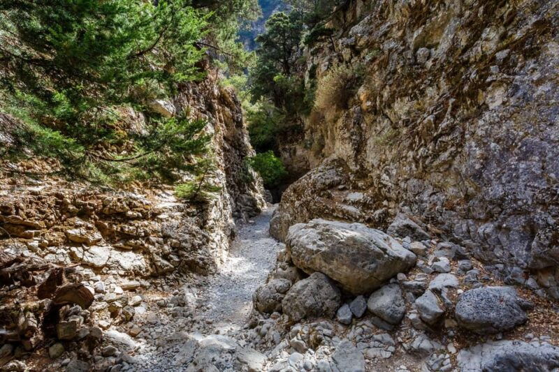 from-chania-imbros-gorge-and-sfakia-hike-and-swim-day-tour