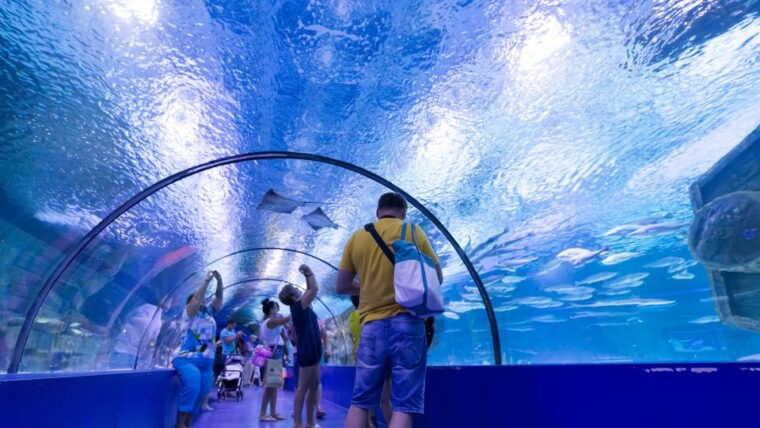 from-city-of-side-antalya-aquarium-full-day-trip