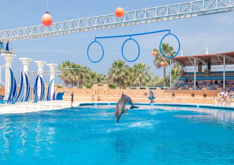 from-city-side-alanya-sealanya-dolphin-show-with-transfers