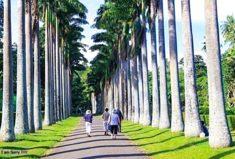 from-colombo-2-day-tour-to-nuwara-eliya-and-kandy