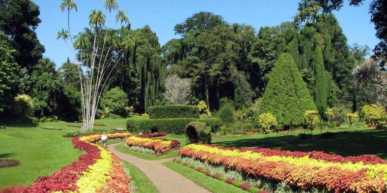 from-colombo-day-trip-to-kandy-pinnwala-royal-gardens