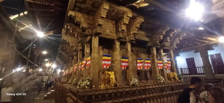 from-colombo-kandy-and-pinnawala-elephant-orphanage-tour
