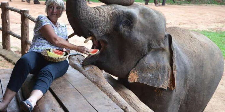 from-colombo-kandy-pinnawala-orphanage-short-excursions
