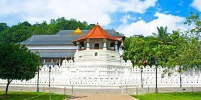 from-colombo-kandy-pinnawala-tea-factory-full-day-trip