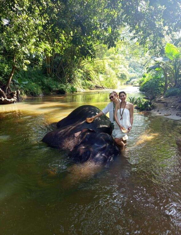 from-colombo-or-negombo-pinnawala-kandy-tea-factory-tour