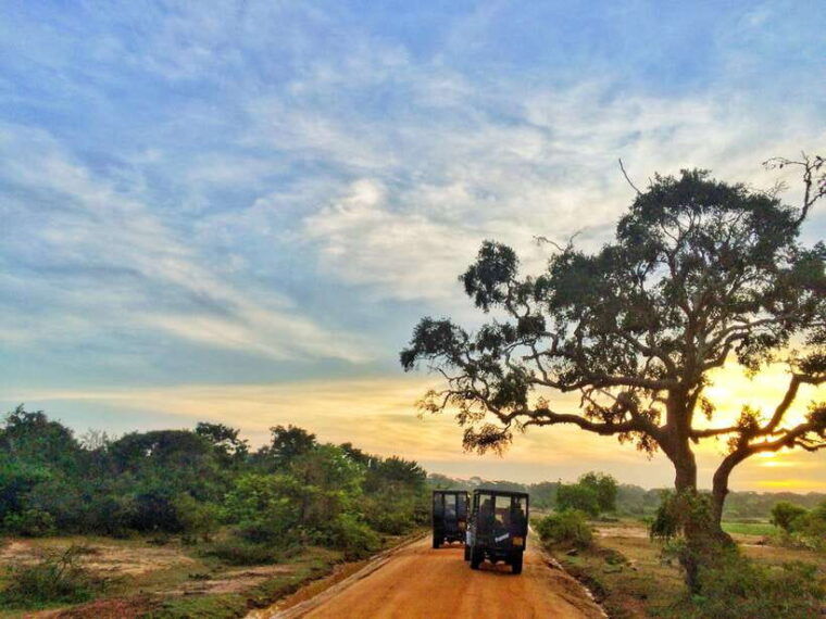 from-colombo-yala-and-ella-2-day-tour-with-jeep-safari