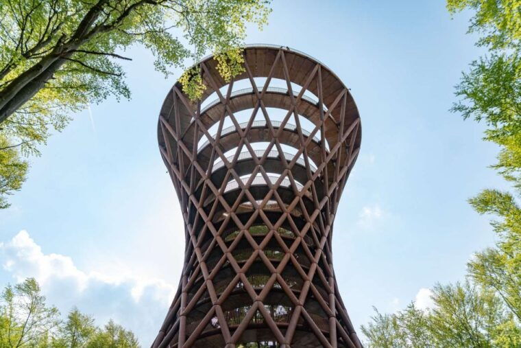 from-copenhagen-round-trip-to-mons-klint-and-forest-tower