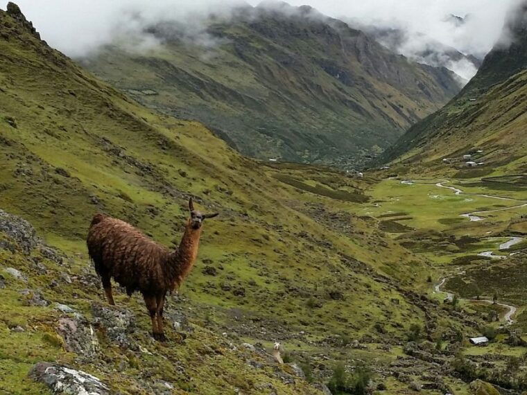 from-cusco-4-day-alternative-lares-trail-to-machu-picchu