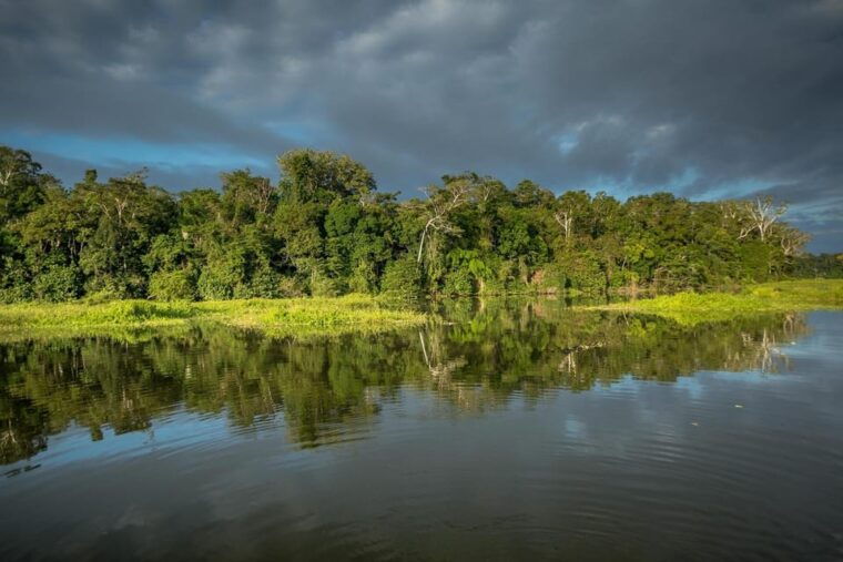 from-cusco-manu-jungle-excursion-7d-6n-wonders-of-manu-3