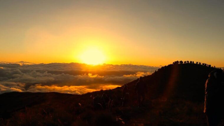 from-cusco-manu-tree-house-4-days-3-nights-2