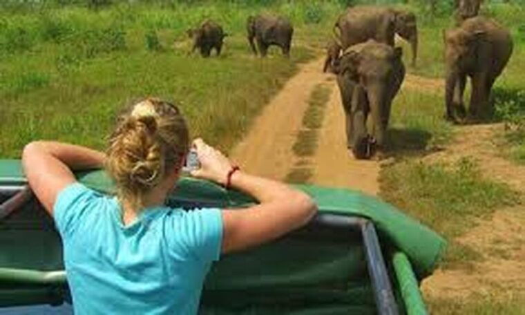 from-ellatransfer-to-galle-mirissa-with-udawalawa-safari
