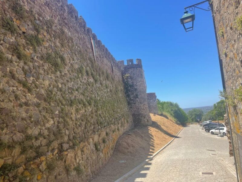 from-evora-or-montemor-visit-to-the-castle-of-montemor-o-novo