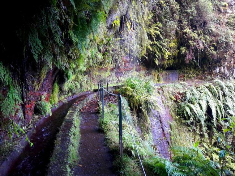 from-funchal-sao-jorge-valleys-levada-walk