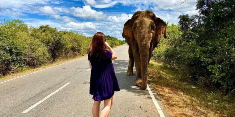 from-galle-mirissa-hikkaduwa-udawalawe-national-park-safari