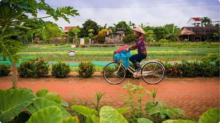from-garden-to-table-tra-que-farming-tour