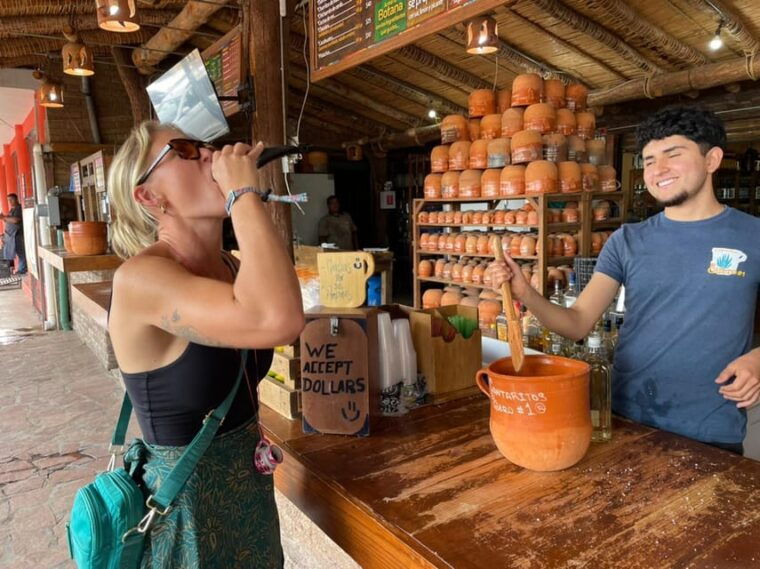 from-guadalajara-tequila-factory-and-panoramic-swing-tour-2