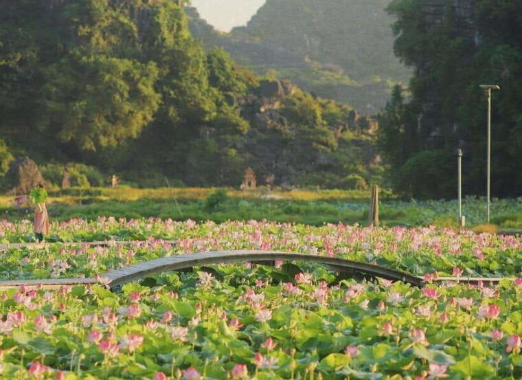 from-ha-noi-ninh-binh-hoa-lu-trang-an-tam-coc-and-mua-cave