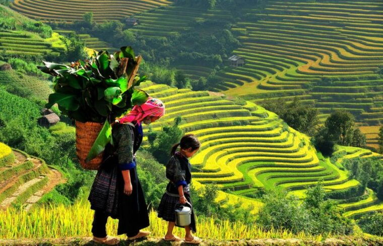 from-hanoi-2-day-2-night-sapa-tour-by-overnight-train