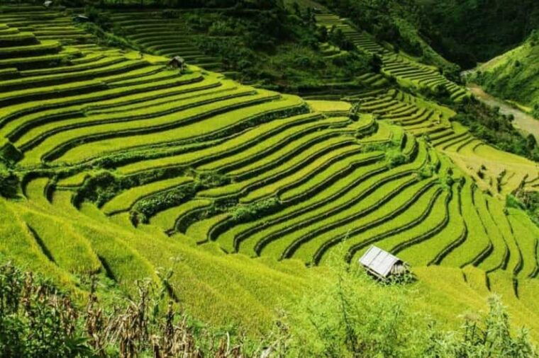 from-hanoi-2-days-sapa-trekking-tour-lao-chai-and-cat-cat