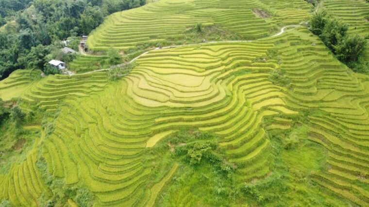 from-hanoi-sapa-2-days-1-night-trekking-with-local-people