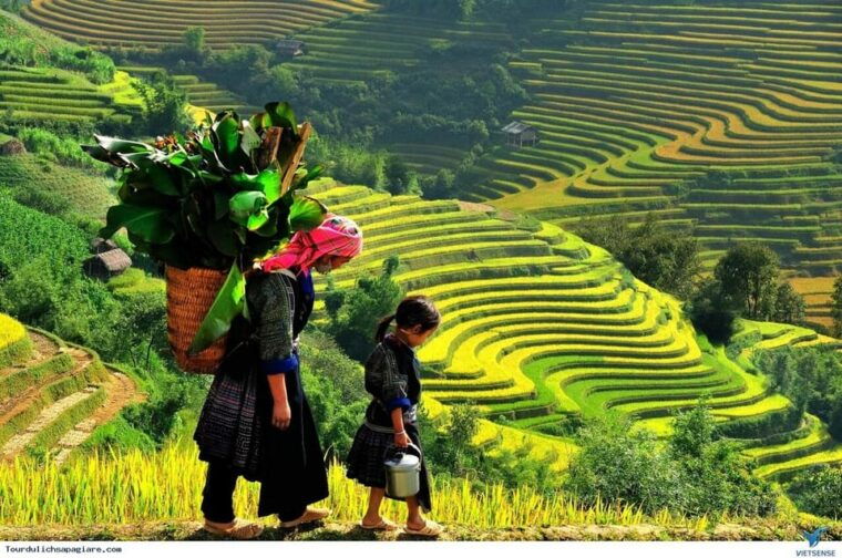 from-hanoi-sapa-3d2n-cat-cat-village-fansipan-and-moana