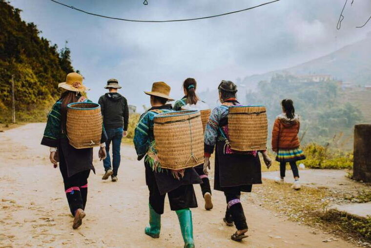 from-hanoi-tour-sapa-moana-fansipan-3d2n-exit-hanoi
