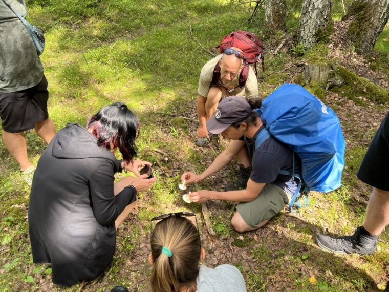 from-helsinki-hike-and-sauna-in-sipoonkorpi-national-park
