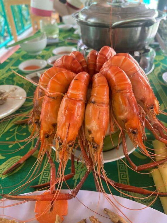 from-ho-chi-minh-city-ben-tre-the-coconut-land-with-lunch